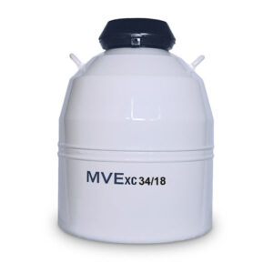 MVE 34