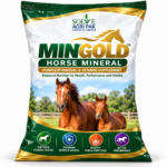 MinGold Horse Mineral